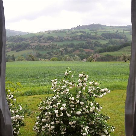 Tavoleto Le Bumbarelle B&B 외부 사진