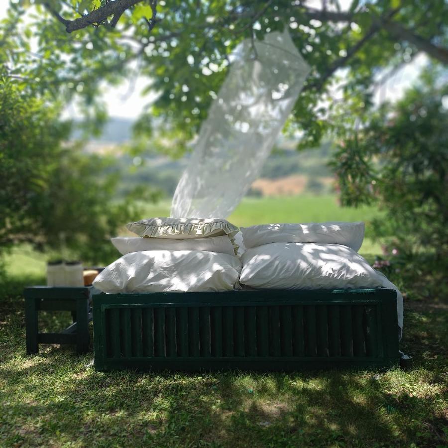 Tavoleto Le Bumbarelle B&B 외부 사진