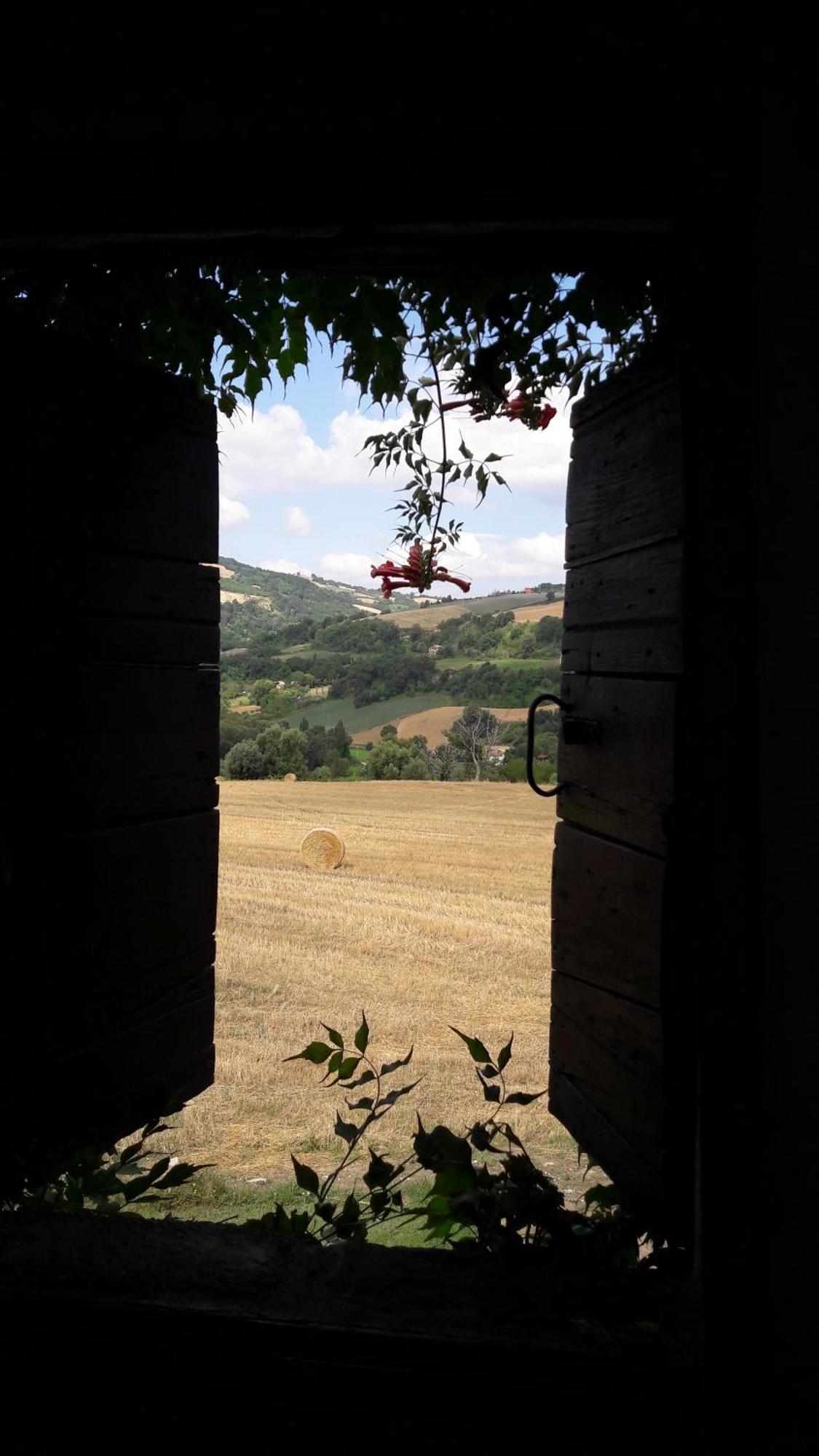 Tavoleto Le Bumbarelle B&B 외부 사진