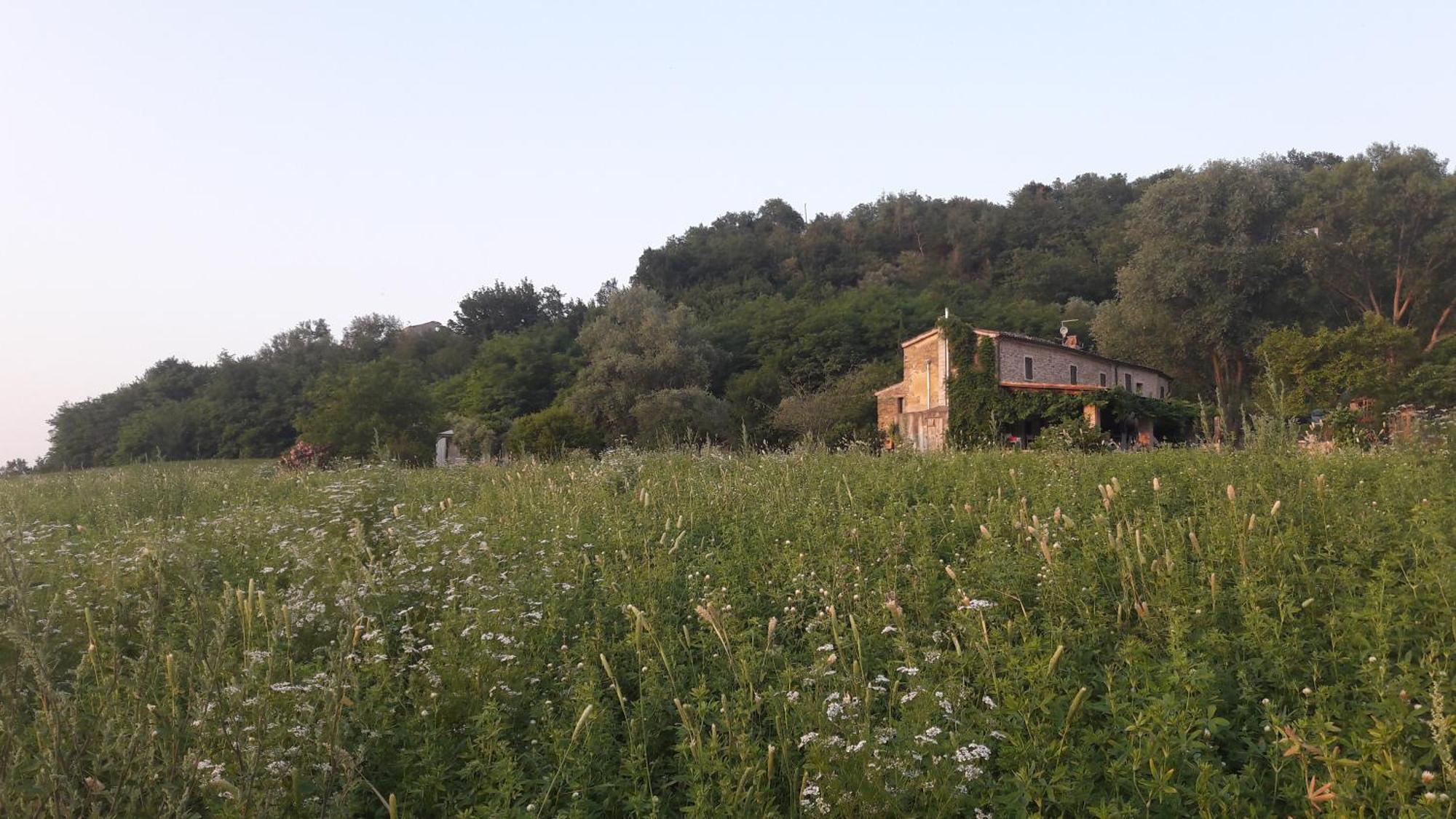 Tavoleto Le Bumbarelle B&B 외부 사진