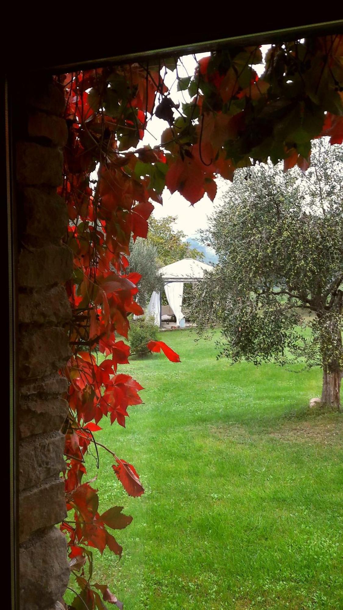 Tavoleto Le Bumbarelle B&B 외부 사진