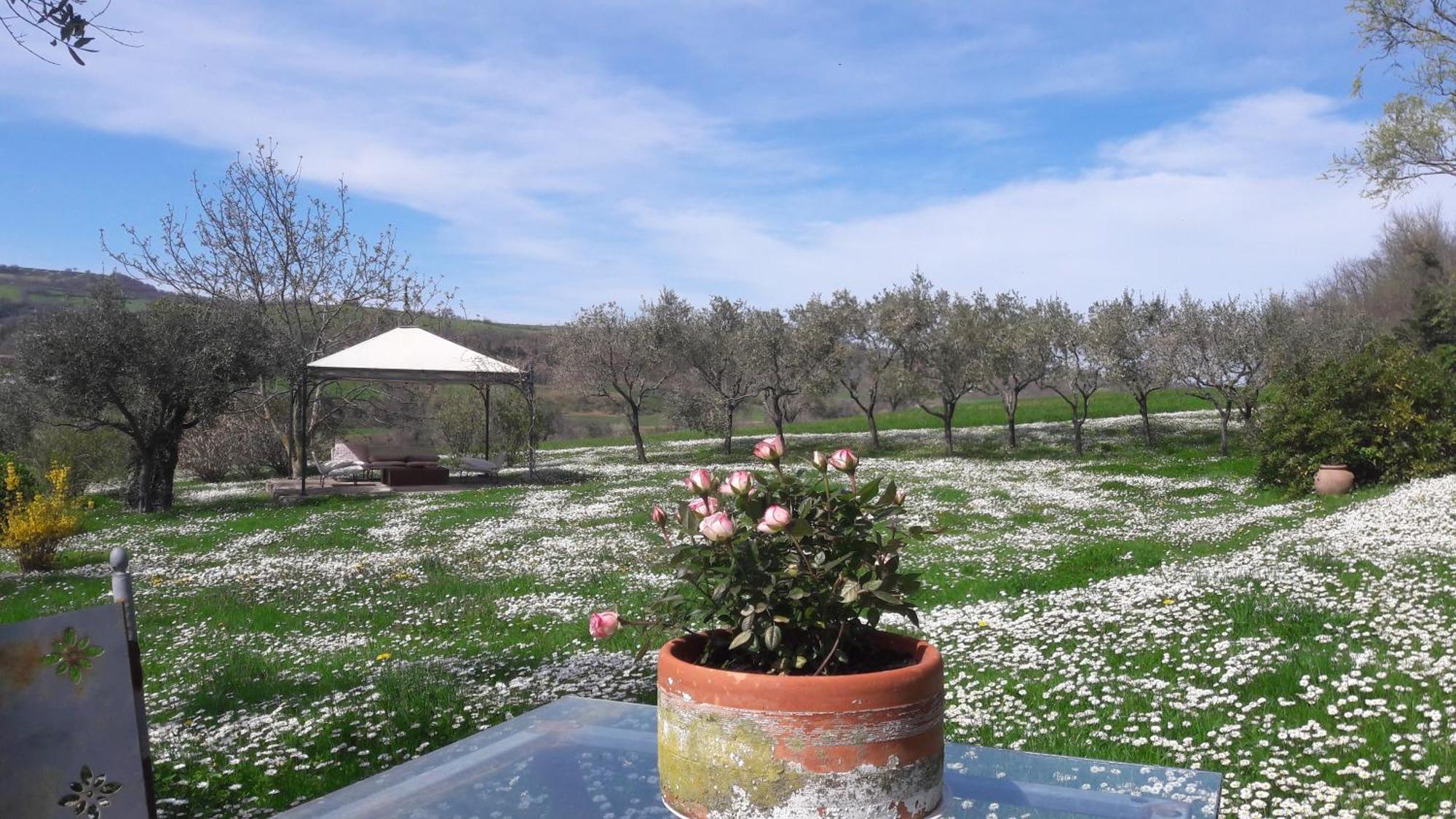 Tavoleto Le Bumbarelle B&B 외부 사진
