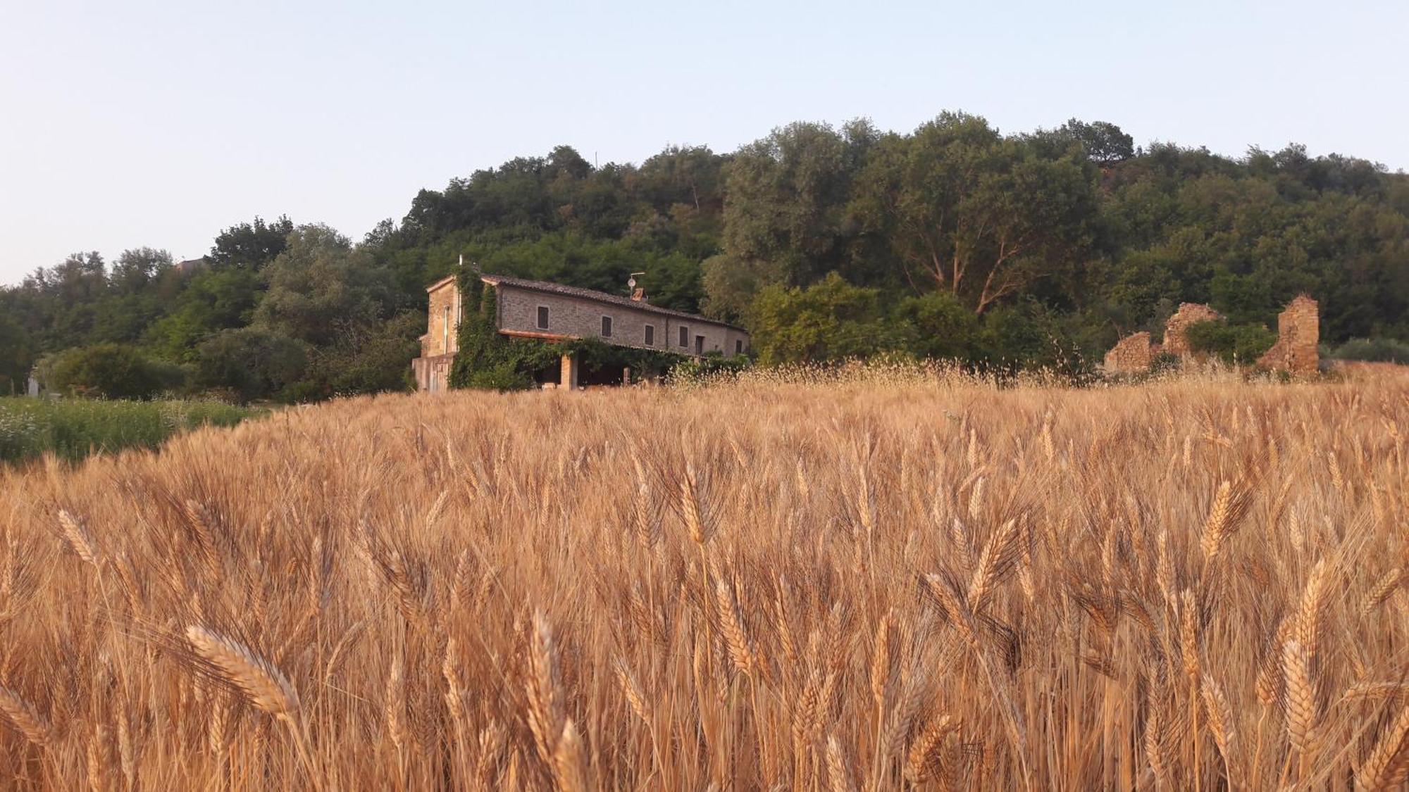 Tavoleto Le Bumbarelle B&B 외부 사진