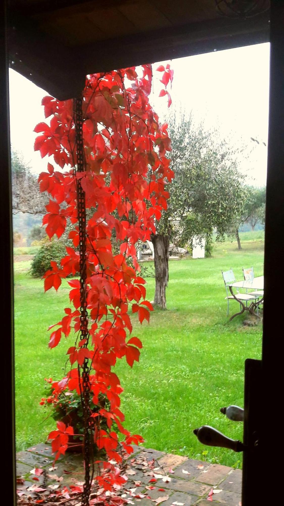 Tavoleto Le Bumbarelle B&B 외부 사진