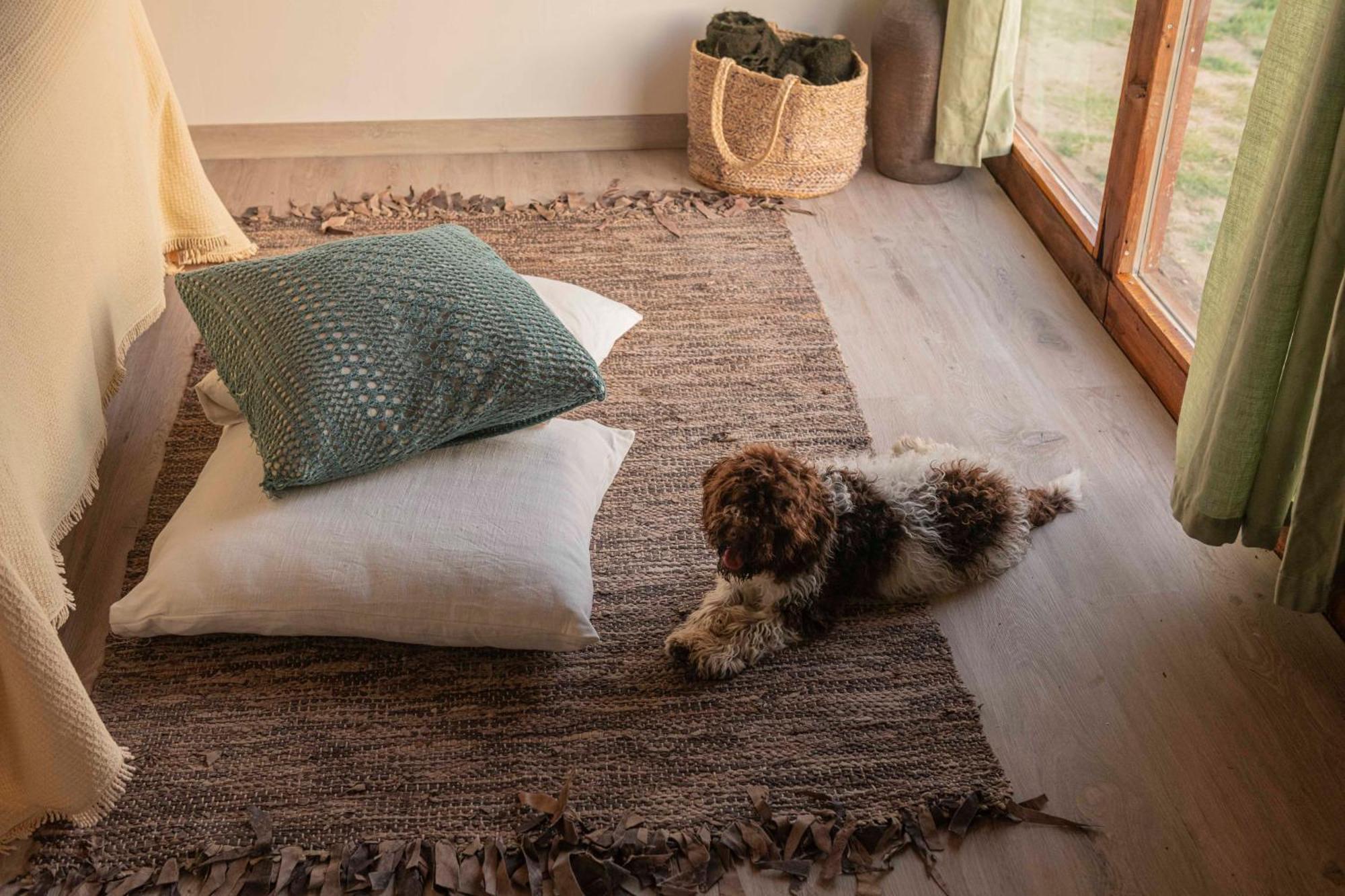 Tavoleto Le Bumbarelle B&B 외부 사진