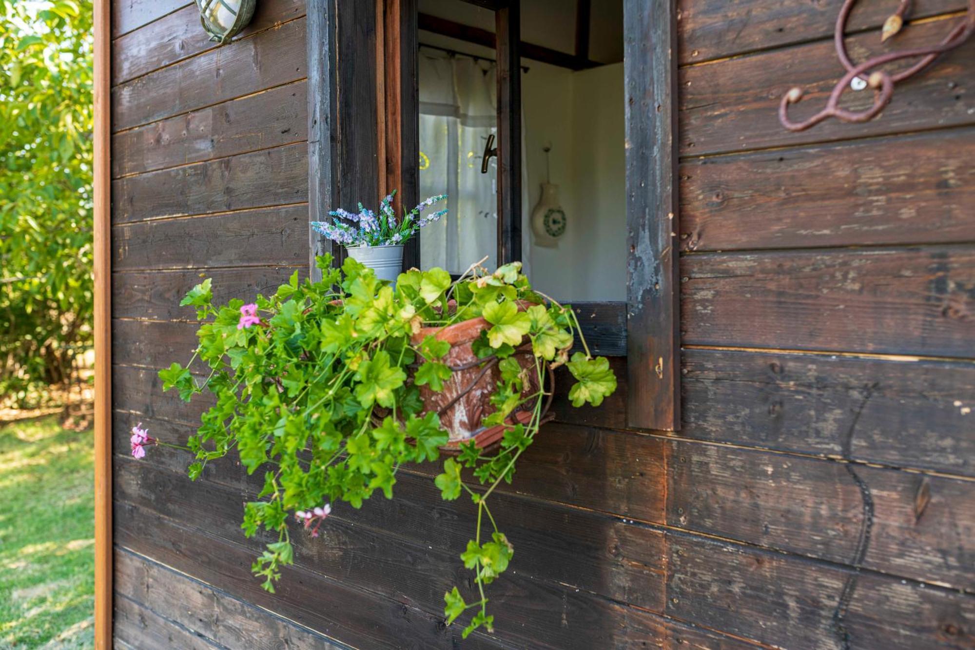 Tavoleto Le Bumbarelle B&B 외부 사진