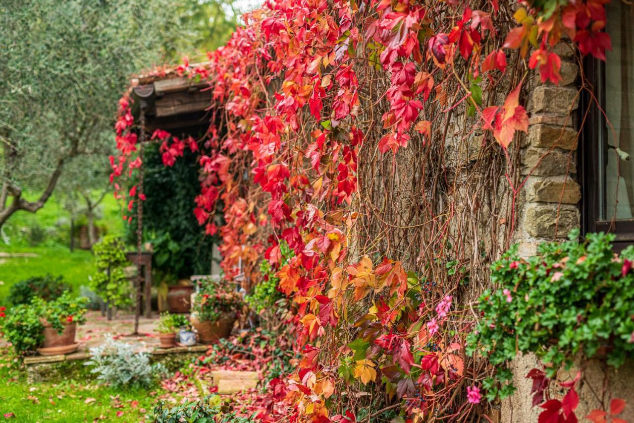 Tavoleto Le Bumbarelle B&B 외부 사진